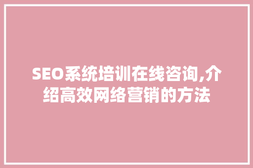 SEO系统培训在线咨询,介绍高效网络营销的方法