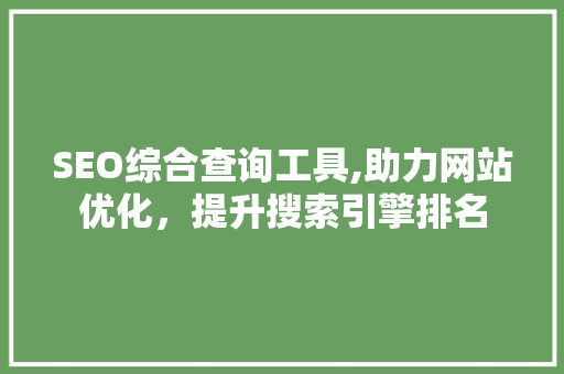 SEO综合查询工具,助力网站优化，提升搜索引擎排名