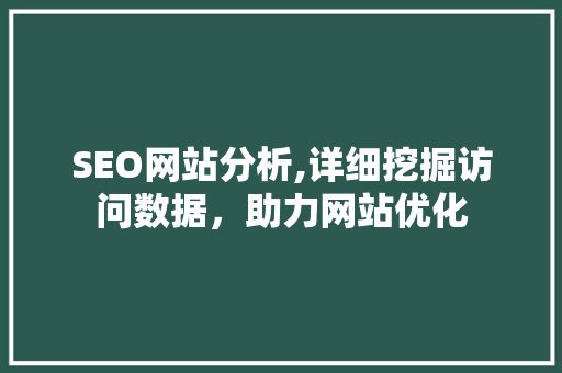 SEO网站分析,详细挖掘访问数据，助力网站优化 360搜优化