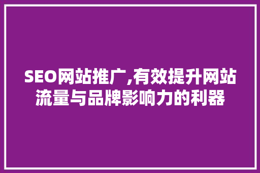 SEO网站推广,有效提升网站流量与品牌影响力的利器