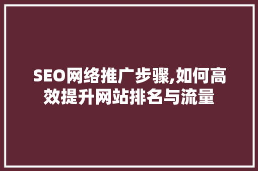 SEO网络推广步骤,如何高效提升网站排名与流量