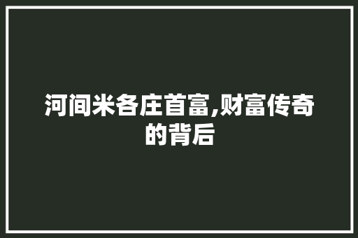 河间米各庄首富,财富传奇的背后