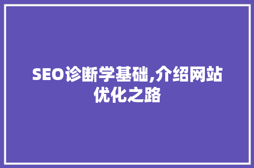 SEO诊断学基础,介绍网站优化之路