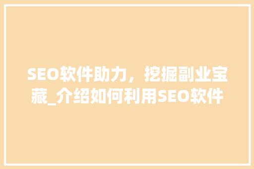 SEO软件助力，挖掘副业宝藏_介绍如何利用SEO软件实现财富增长 网站开发