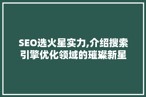 SEO选火星实力,介绍搜索引擎优化领域的璀璨新星