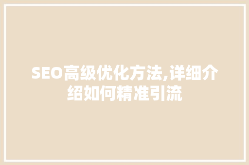 SEO高级优化方法,详细介绍如何精准引流