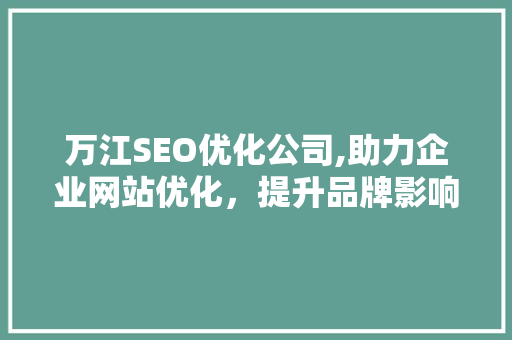 万江SEO优化公司,助力企业网站优化，提升品牌影响力