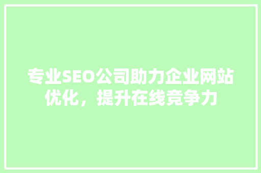 专业SEO公司助力企业网站优化，提升在线竞争力 360搜优化