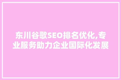 东川谷歌SEO排名优化,专业服务助力企业国际化发展