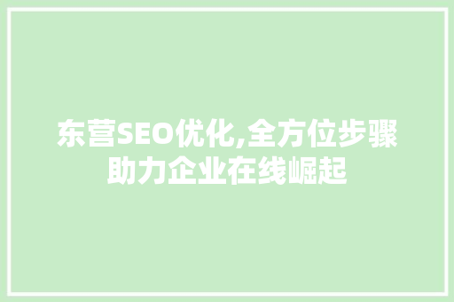 东营SEO优化,全方位步骤助力企业在线崛起