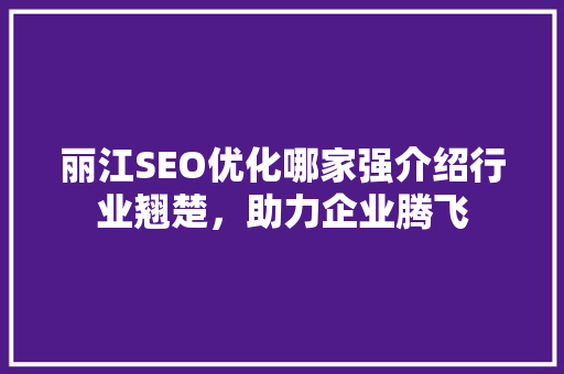 丽江SEO优化哪家强介绍行业翘楚，助力企业腾飞 seo技术