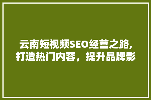 云南短视频SEO经营之路,打造热门内容，提升品牌影响力 小程序开发