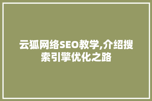 云狐网络SEO教学,介绍搜索引擎优化之路 AI技术学习