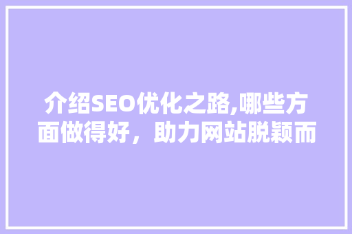介绍SEO优化之路,哪些方面做得好，助力网站脱颖而出 英文谷歌算法