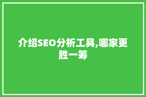 介绍SEO分析工具,哪家更胜一筹 网站开发