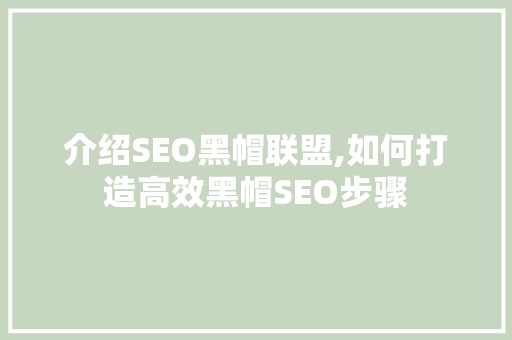 介绍SEO黑帽联盟,如何打造高效黑帽SEO步骤