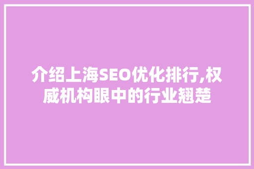 介绍上海SEO优化排行,权威机构眼中的行业翘楚