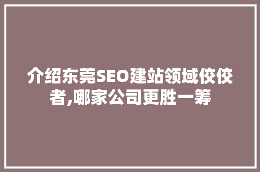 介绍东莞SEO建站领域佼佼者,哪家公司更胜一筹