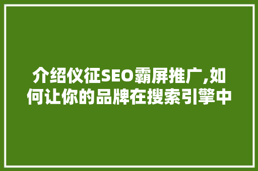 介绍仪征SEO霸屏推广,如何让你的品牌在搜索引擎中脱颖而出