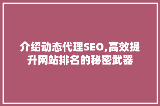介绍动态代理SEO,高效提升网站排名的秘密武器