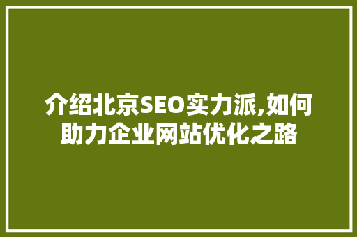介绍北京SEO实力派,如何助力企业网站优化之路 网站开发