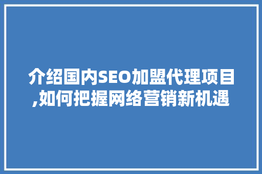 介绍国内SEO加盟代理项目,如何把握网络营销新机遇