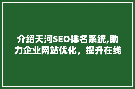 介绍天河SEO排名系统,助力企业网站优化，提升在线竞争力
