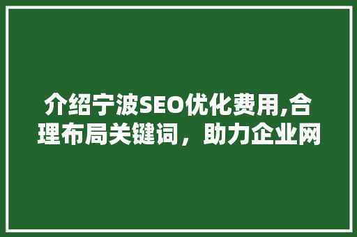 介绍宁波SEO优化费用,合理布局关键词，助力企业网络营销 网站开发