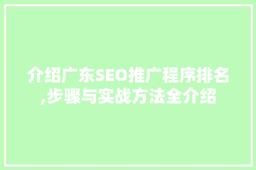 介绍广东SEO推广程序排名,步骤与实战方法全介绍 网站优化