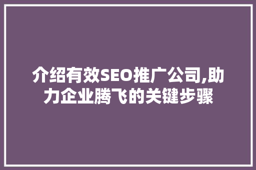 介绍有效SEO推广公司,助力企业腾飞的关键步骤