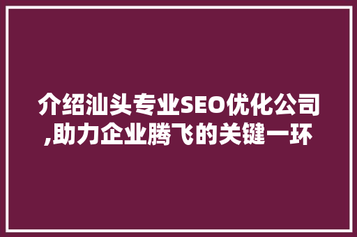 介绍汕头专业SEO优化公司,助力企业腾飞的关键一环
