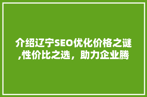 介绍辽宁SEO优化价格之谜,性价比之选，助力企业腾飞 网站开发