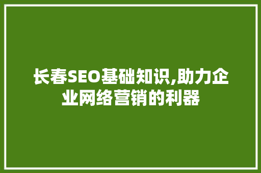 长春SEO基础知识,助力企业网络营销的利器 seo技术