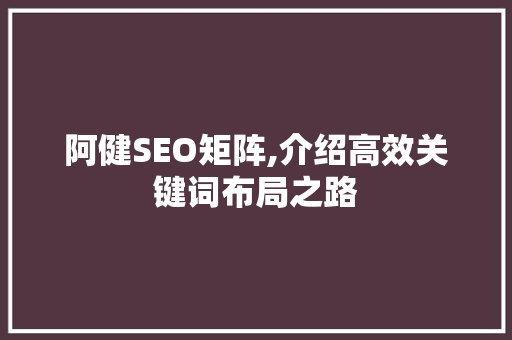 阿健SEO矩阵,介绍高效关键词布局之路 seo技术