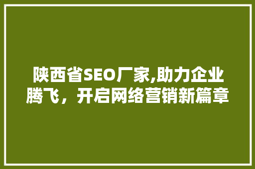 陕西省SEO厂家,助力企业腾飞，开启网络营销新篇章 小程序开发