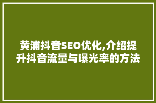 黄浦抖音SEO优化,介绍提升抖音流量与曝光率的方法