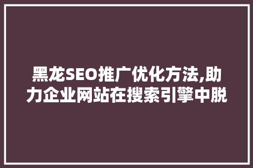 黑龙SEO推广优化方法,助力企业网站在搜索引擎中脱颖而出