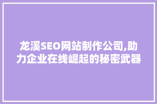 龙溪SEO网站制作公司,助力企业在线崛起的秘密武器