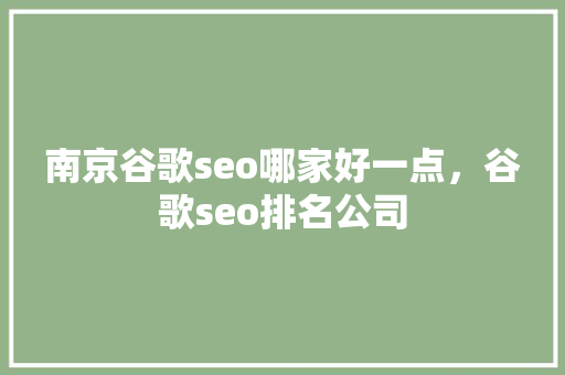 南京谷歌seo哪家好一点，谷歌seo排名公司 网站开发