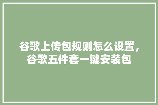 谷歌上传包规则怎么设置，谷歌五件套一键安装包