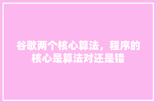谷歌两个核心算法，程序的核心是算法对还是错