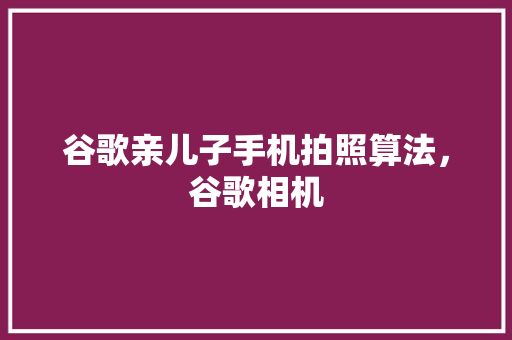 谷歌亲儿子手机拍照算法，谷歌相机