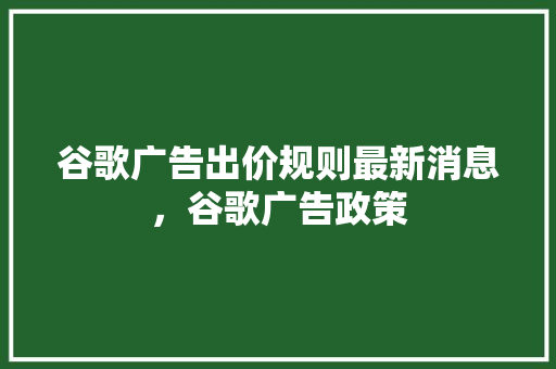 谷歌广告出价规则最新消息，谷歌广告政策