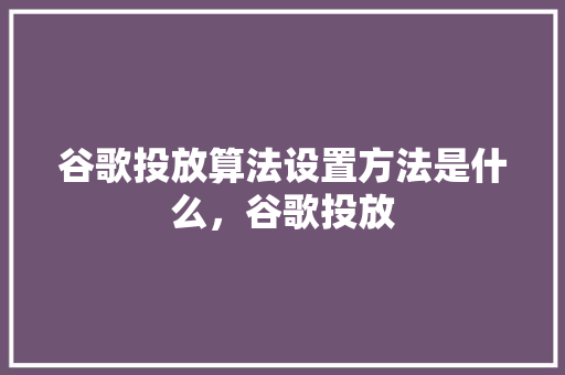 谷歌投放算法设置方法是什么，谷歌投放
