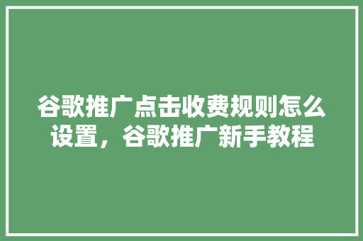 谷歌推广点击收费规则怎么设置，谷歌推广新手教程