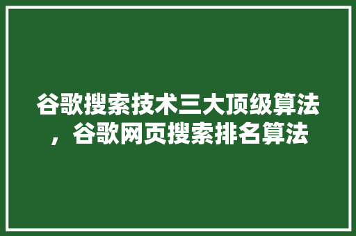 谷歌搜索技术三大顶级算法，谷歌网页搜索排名算法 网站优化