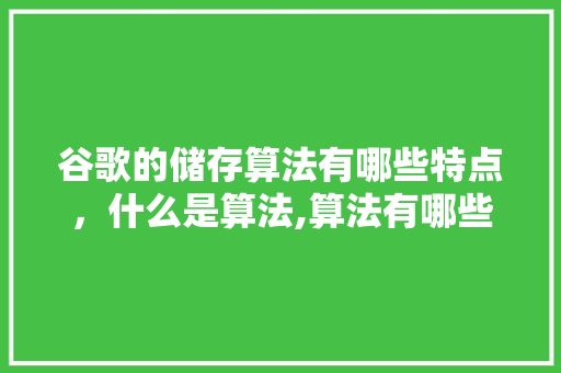 谷歌的储存算法有哪些特点，什么是算法,算法有哪些特征