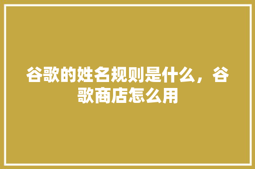 谷歌的姓名规则是什么，谷歌商店怎么用 seo技术
