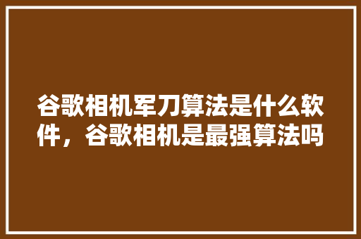 谷歌相机军刀算法是什么软件，谷歌相机是最强算法吗