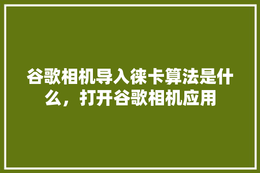 谷歌相机导入徕卡算法是什么，打开谷歌相机应用